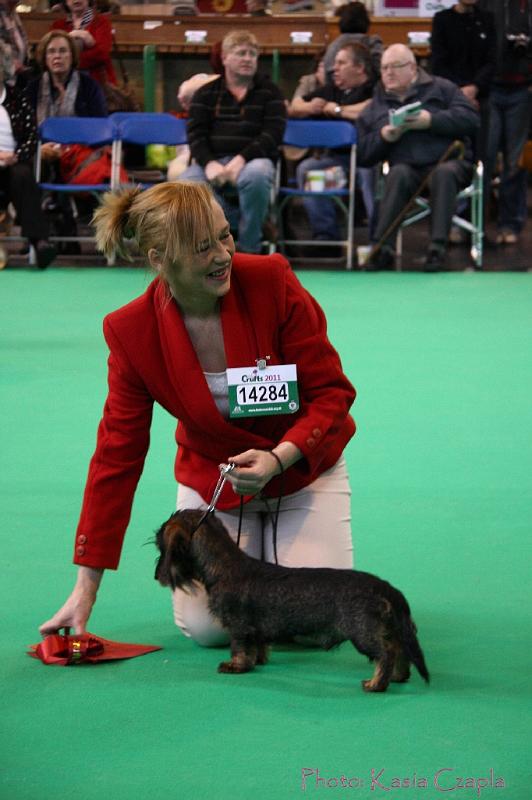 Crufts2011_2 524.jpg